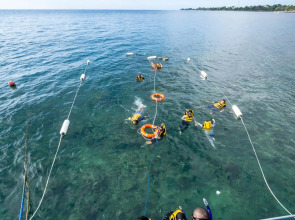 Lovina Beach Club & Resort