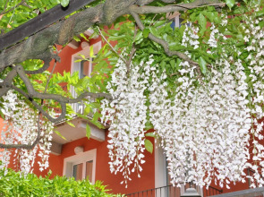 Cavour 30TRE - Hotel Moderno