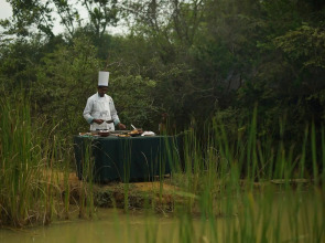 Big Game Yala by Eco Team