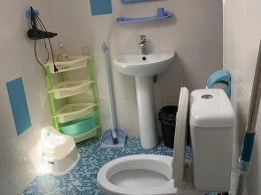 Малибу (Саки)