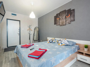 Апартаменты на улице Владимирская