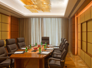 Radisson Blu Plaza Delhi Airport