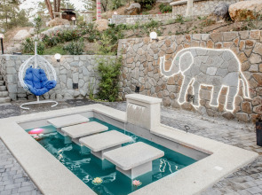 Крымский гость