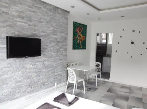 Downtown Belgrade Apartments