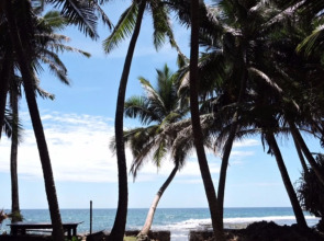 Curry Bowl Restaurant & Turtles Rest