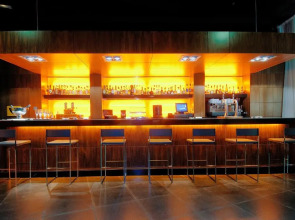 Alexandre Fira Congress