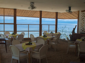 Quo Vadis Dive Resort Moalboal