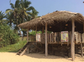 Malika's Yellow House