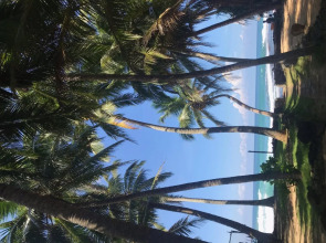 Curry Bowl Restaurant & Turtles Rest