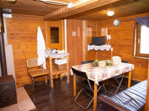 Микли Ольгино