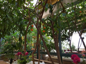 Boyuguzel Termal Hotel