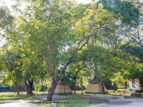 Rest Camp Victoria Falls