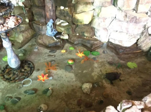 Гостевой Дом Простор