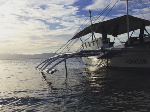 Neptune Diving Resort Moalboal