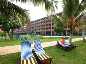 Hikka Tranz by Cinnamon