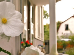 Hotel und Appartementhaus Rheden