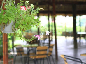 Waterside Resort & Spa