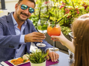 ibis Lausanne Crissier