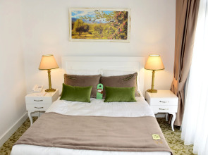 The Olive Tree Hotel