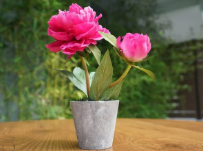 Olympus Thalassea Hotel