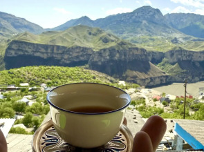 Родное гнездо