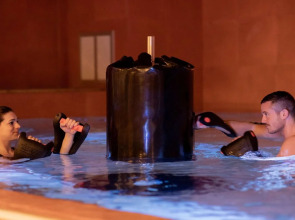 Brach Paris - Evok Collection