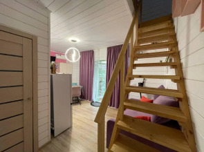 Aviola (Авиола)