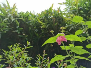 Yihai blue sky apartment (Lingshui Coral Sea store)