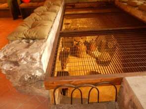 Agriturismo Fontanelle