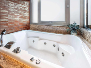 Melia Madrid Princesa