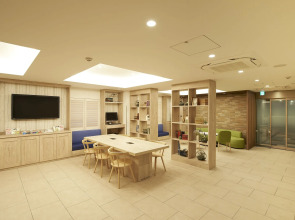 Sotetsu Fresa Inn Ginza Sanchome