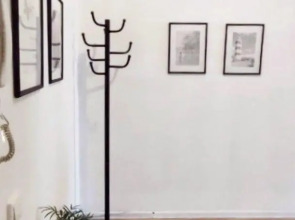 Солнечный эвкалипт на улице Крылова