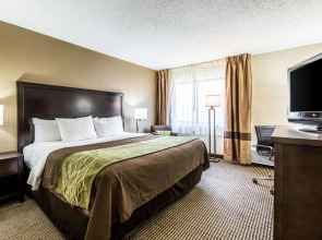 Comfort Inn Detroit Downtown