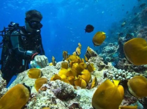 Paje Beach Apartments & Hotel