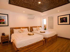 Rex Hotel and Apartment