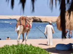 Sharm El Naga Resort and Diving Center