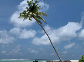 Гостевой дом Courtyard