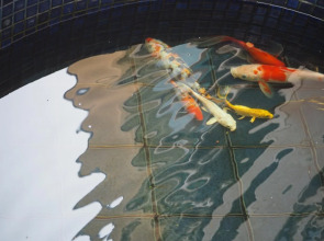 Samed Seaside Resort