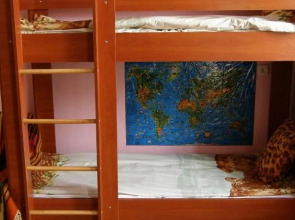 Cat's house Хостел