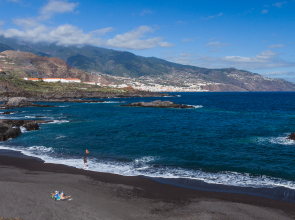 Apartamentos Los Rosales