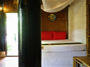 Under the coconut tree - Hostel