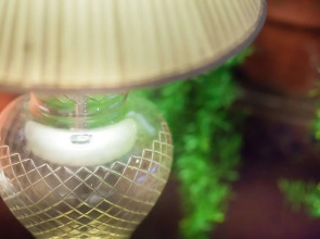 The Grand Imperial - Heritage Hotel