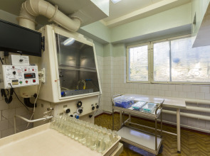 Viktorija (Essentuki)