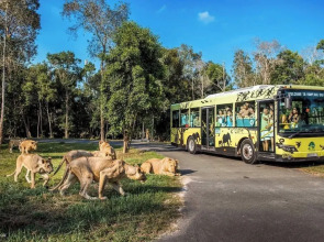 Teddy 96 Homestay & Cafe - Grand World Phu Quoc