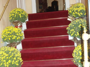 Acropolis Museum Boutique Hotel