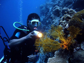 Plantation Bay Resort and Spa