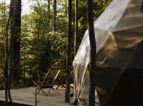 Вили Улей Карелия