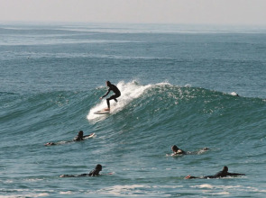 Hotel Apartamento Solverde