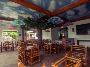 Oasis Resort and Spas