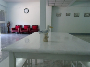 Albatross Guesthouse @ Thungwualaen Beach